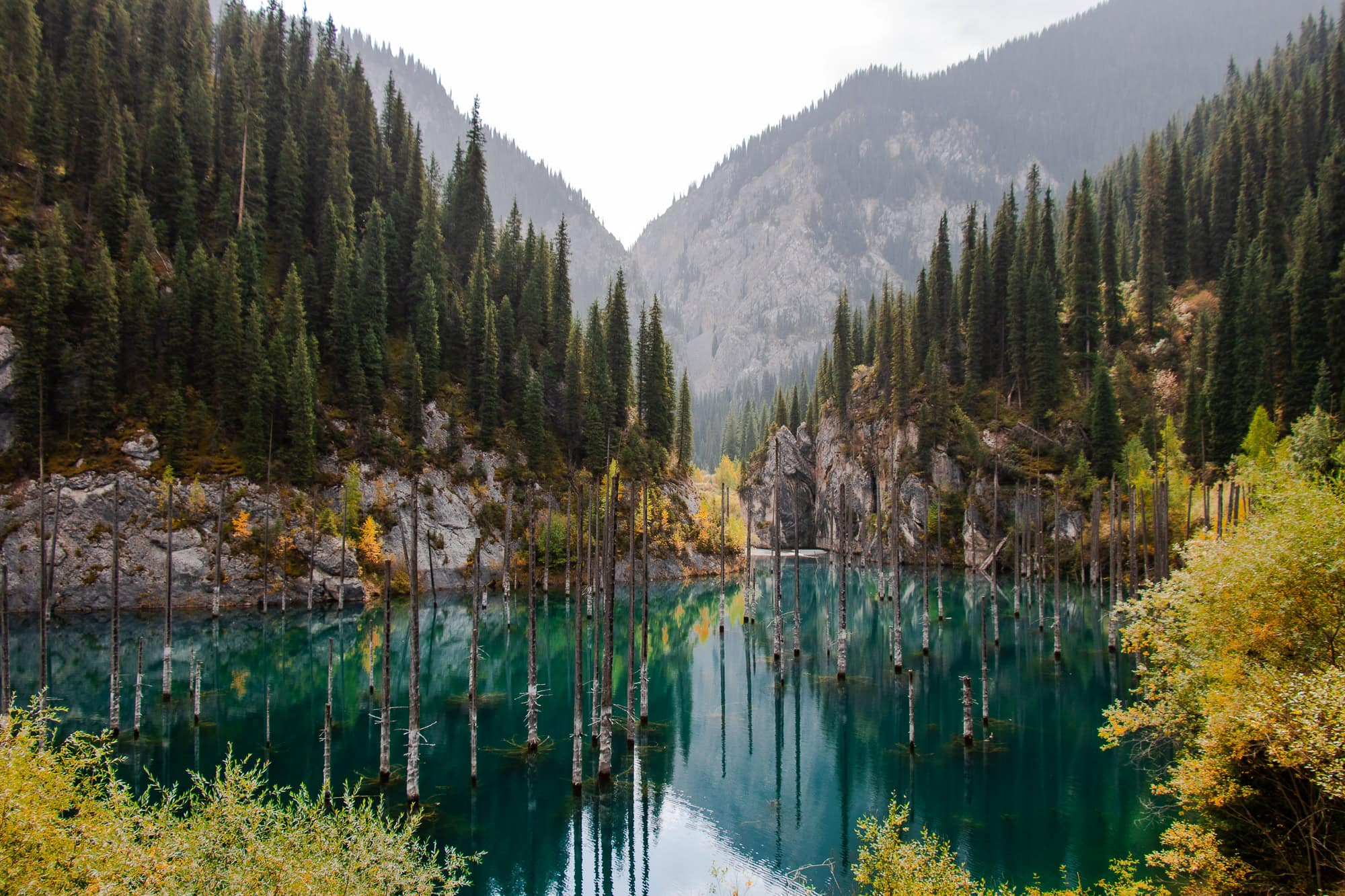 The sunken forest of Lake Kaindy with bleached spruce tree trunks rising from the water