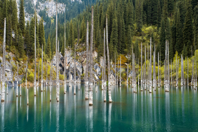 The stunning turquoise water of one of the Kolsai Lakes surrounded by pine forests