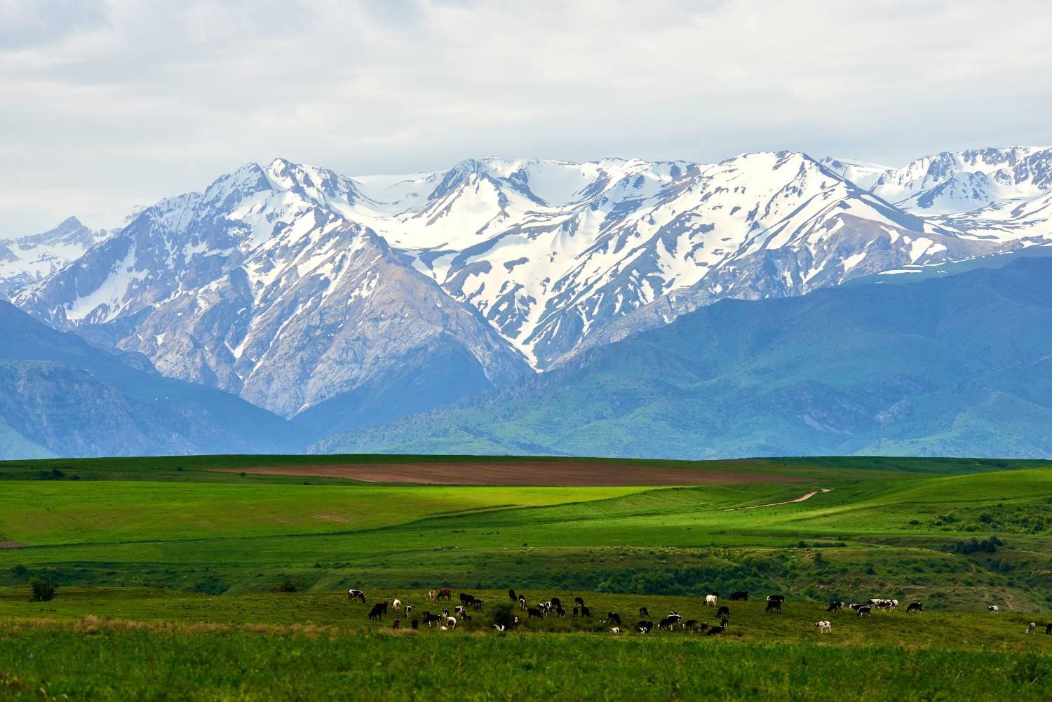 Scenic View Of Aksu Zhabagly Nature Reserve Kazakhstan